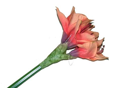 Kunstbl. Amaryllis 60cm orange/24