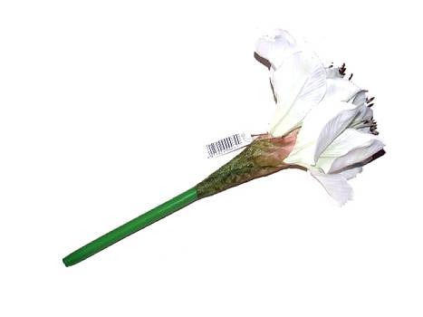 Kunstbl. Amaryllis 29cm creme-weiss/24