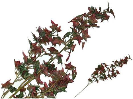 Kunstbl.Efeu-Herbstzweig 78cm burgund/24
