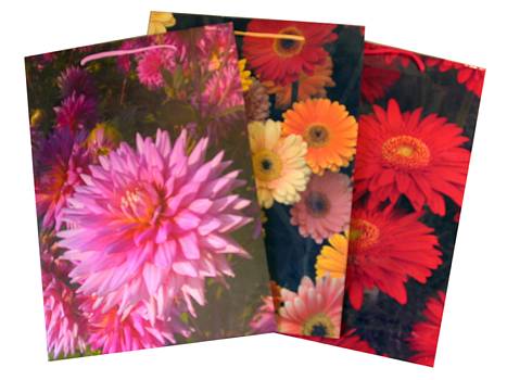 Geschenkt�te A4 Blumen 3fach sort./12