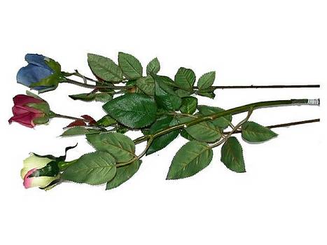 Kunstbl. Rosen gelb/blau/w.rot/VE12+24