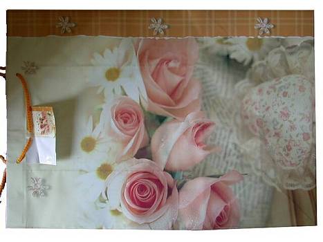 Geschenkt�te A2 Motive/12