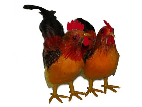 Deko-Hahn 15cm 6er Packung/1