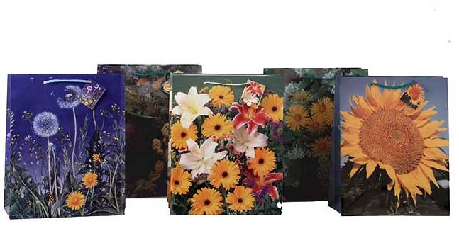 Geschenkt�te Flasche Blumen/12