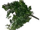 Kunstbl.Efeu klein/3