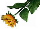 Kunstblume 68cm Sonnenblume 1Bl�te/24