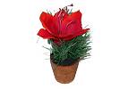 Kunstbl. Amaryllis 14cm i.Topf/48