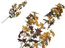 Kunstbl.Efeu-Herbstzweig 78cm gr�n-or.